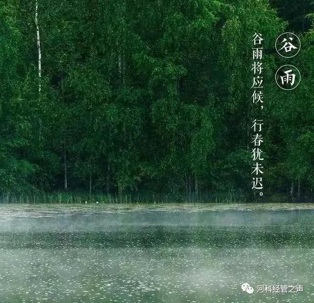 明朝知谷雨，无策禁花风。