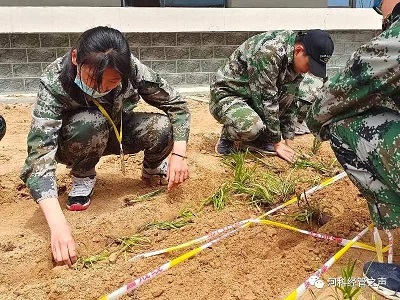 劳动最光荣